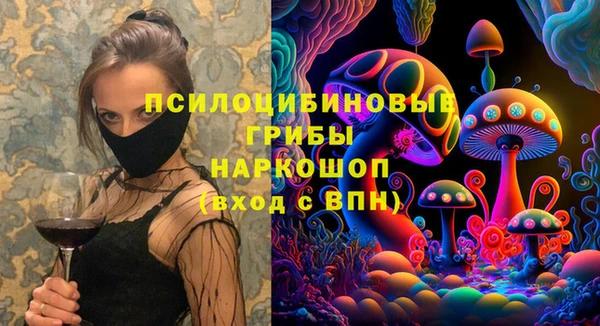 мдма Няндома