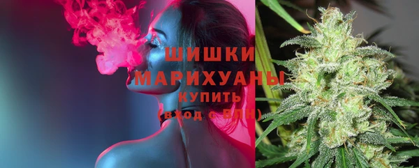 мдма Няндома